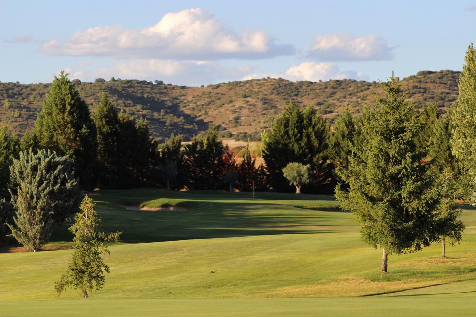 Parcela en venta Villar De Olalla, Cuenca. Ref: 121800. Inmobiliaria Vieco