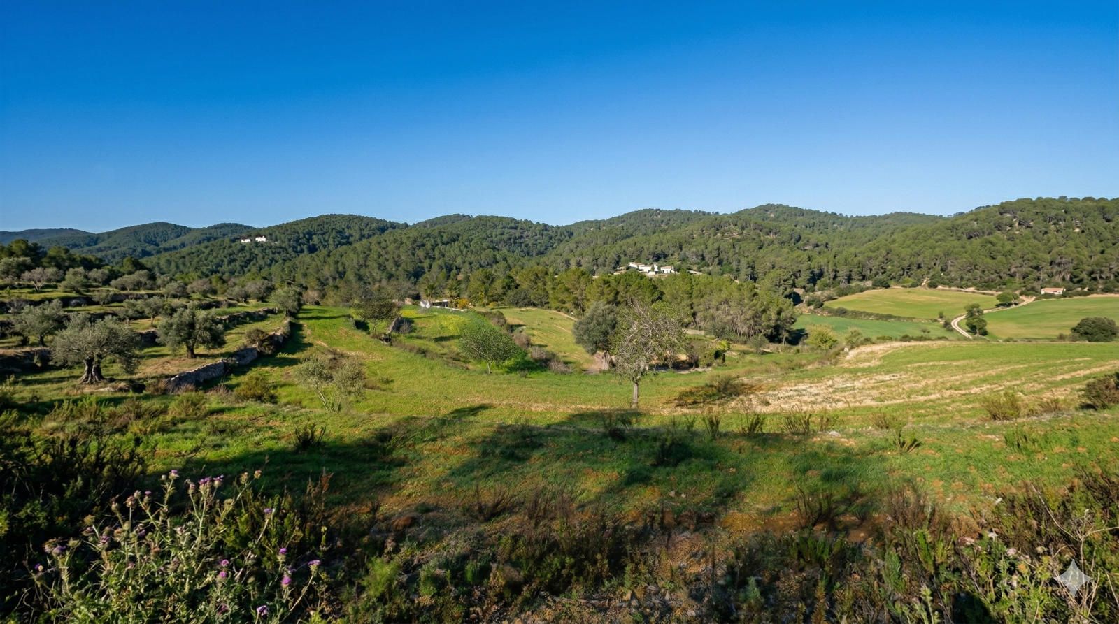 Freistehende Villa zu vermieten Santa Eularia des Riu, Baleares. Ref: 1190. BLAU Properties Ibiza Real Estate