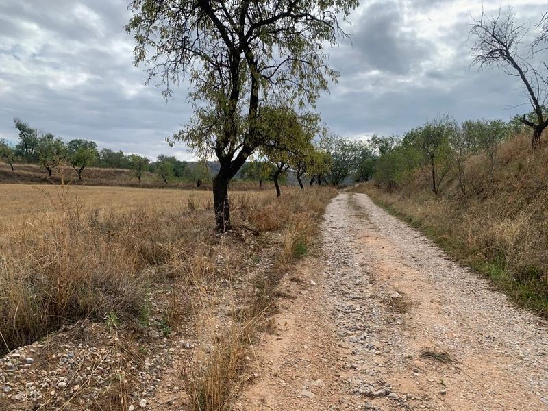 Parcela en venta Taracena, Guadalajara. Ref: 60075. Bravo & López Inmobiliaria