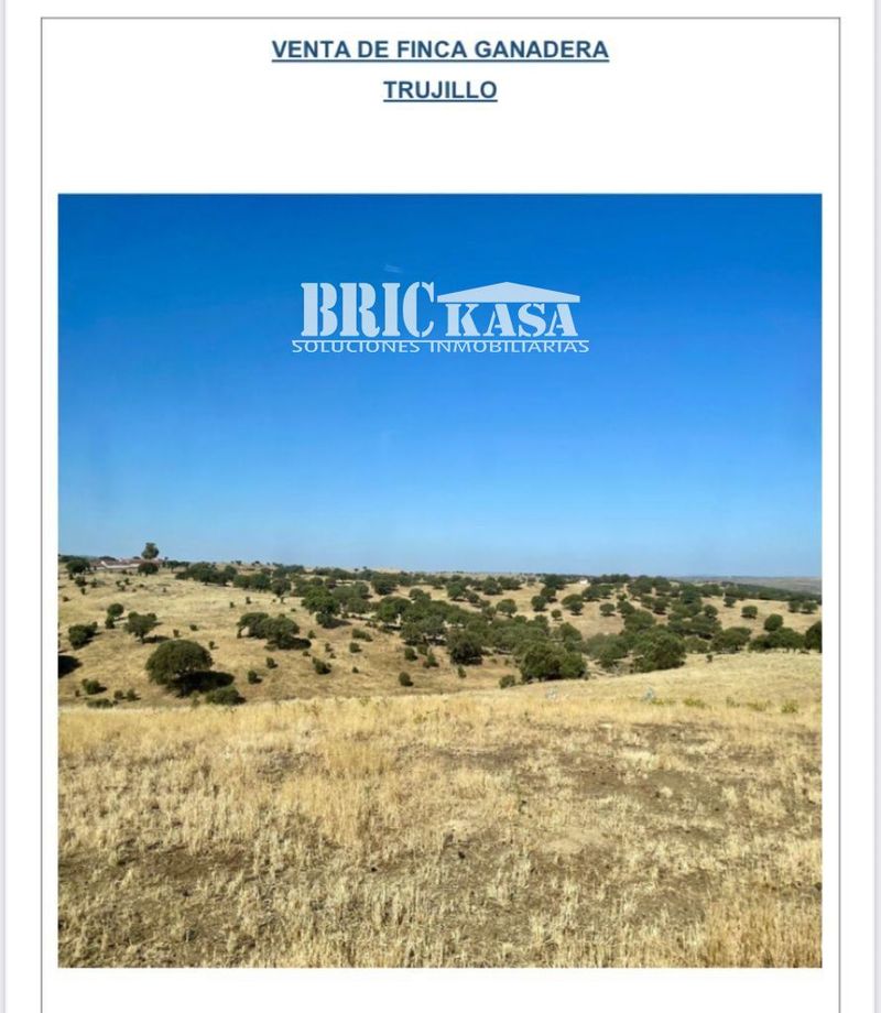 Finca en venta Trujillo, Cáceres. Ref: 1429. Brickasa