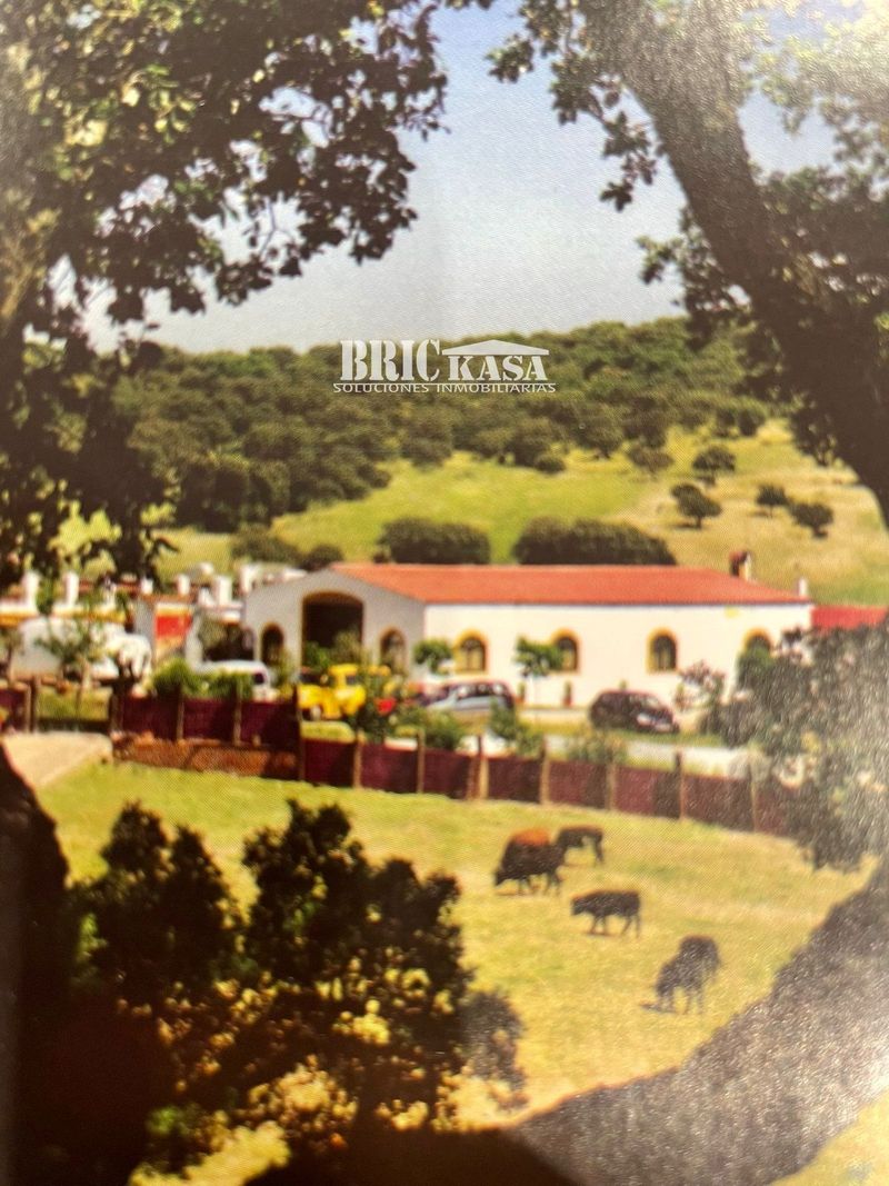 Chalet Independiente en venta Cáceres. Ref: 1620. Brickasa