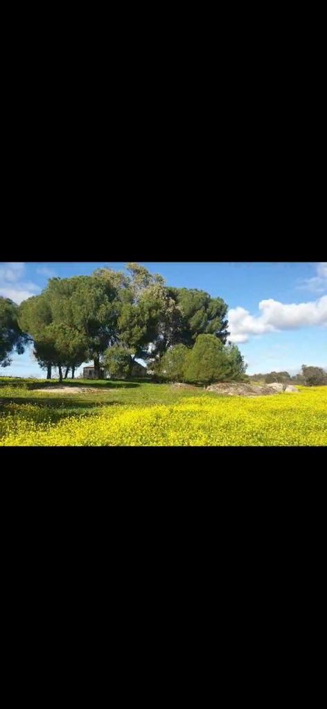 Finca en venta Cáceres. Ref: 1983. Brickasa