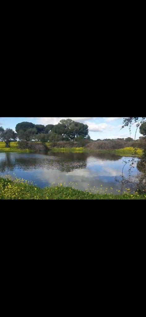 Parcela en venta Aldea Del Cano, Cáceres. Ref: 1984. Brickasa