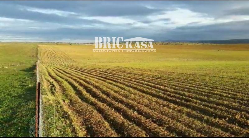 Finca en venta Cáceres. Ref: 1985. Brickasa