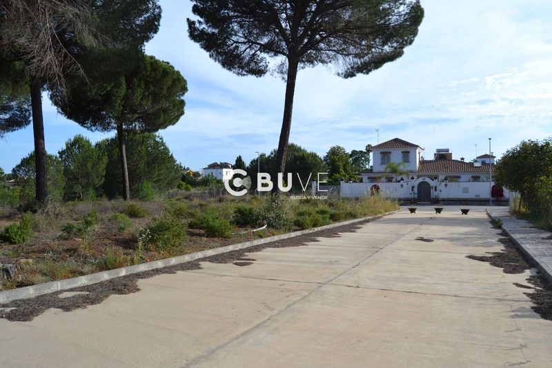 Parcela en venta Hinojos, Huelva. Ref: 22734. BUVE.APP