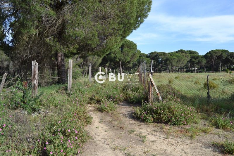 Parcela en venta Hinojos, Huelva. Ref: 22734. BUVE.APP