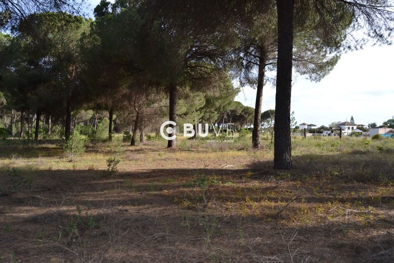 Terreny en venda Hinojos, Huelva. Ref: 22734. BUVE.APP