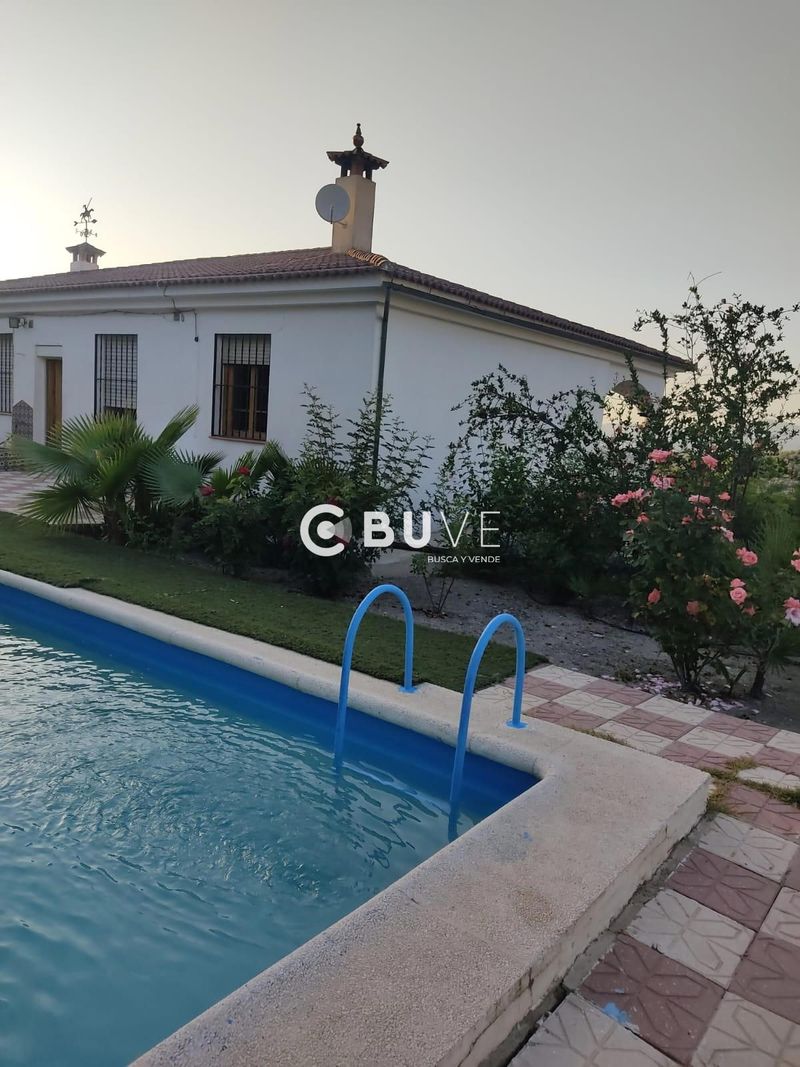 Chalet Independiente en venta Rute, Córdoba. Ref: 23942. BUVE.APP