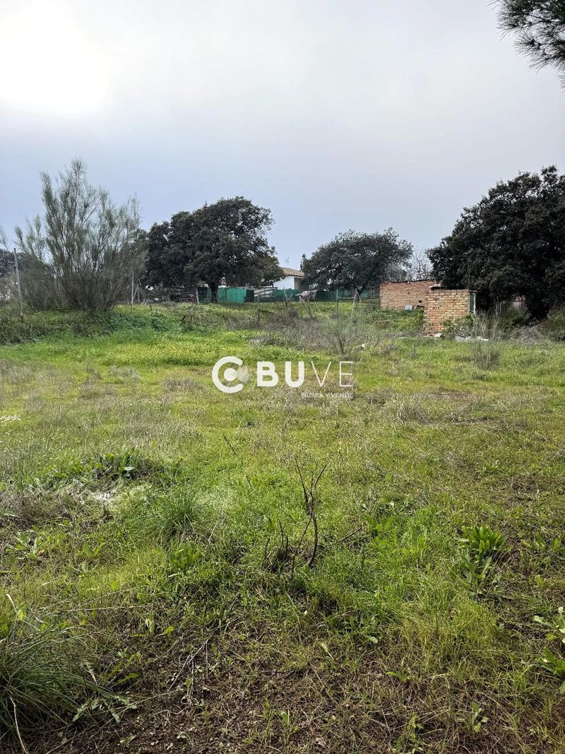 Terreny en venda Castilblanco De Los Arroyos, Sevilla. Ref: 33036. BUVE.APP