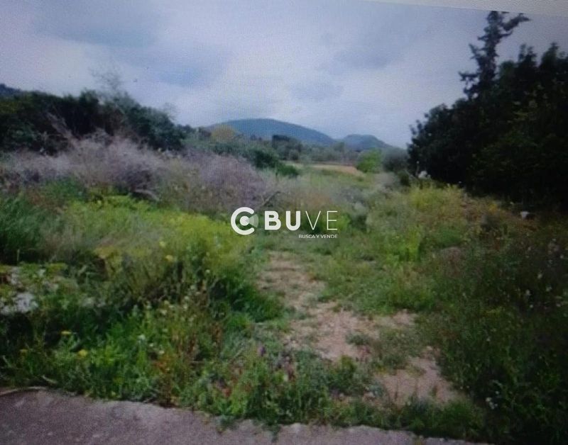 Terreny en venda Riba-Roja De Túria, Valencia. Ref: 39182. BUVE.APP