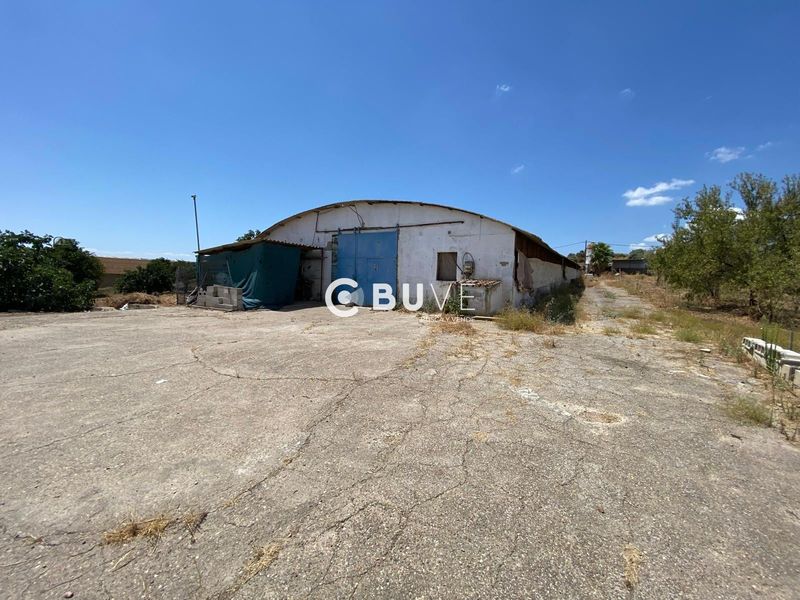 Parcela en venta Coria Del Rio, Sevilla. Ref: 42714. BUVE.APP