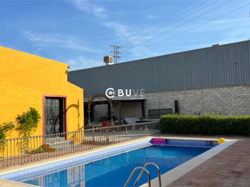 Detached Villa for sale Palma Del Rio, Córdoba. Ref: 42780. BUVE.APP
