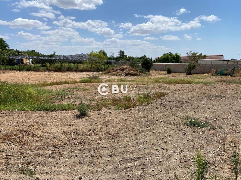 Parcela en venta Coria Del Rio, Sevilla. Ref: 42786. BUVE.APP