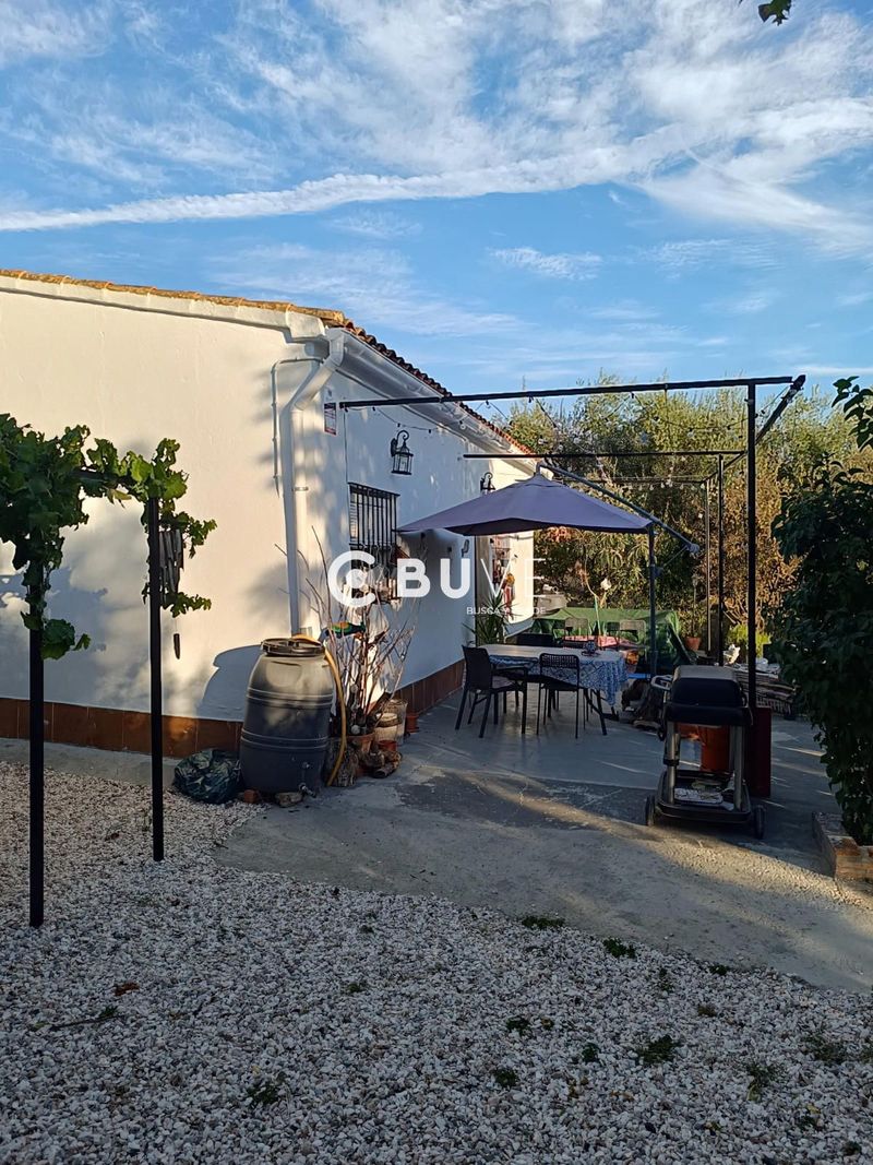 Terreny en venda Pedroso, El, Sevilla. Ref: 42844. BUVE.APP