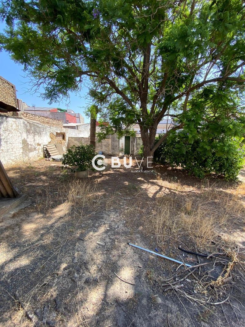 Terreny en venda Almensilla, Sevilla. Ref: 43003. BUVE.APP