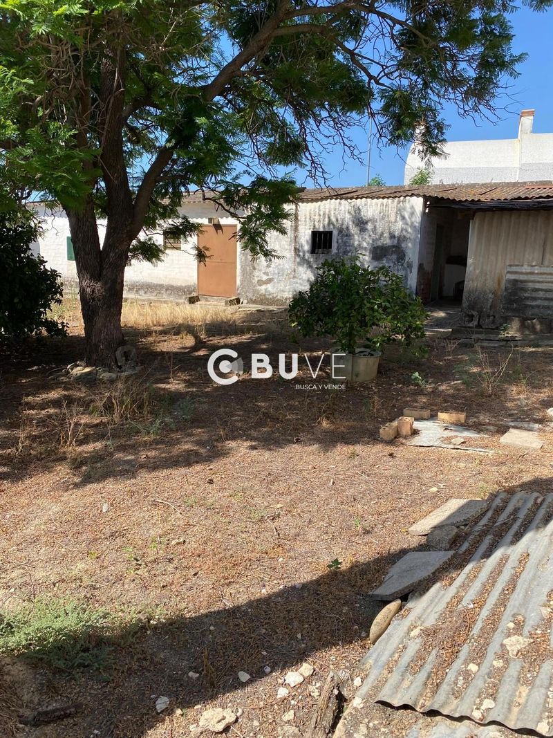 Parcela en venta Almensilla, Sevilla. Ref: 43003. BUVE.APP