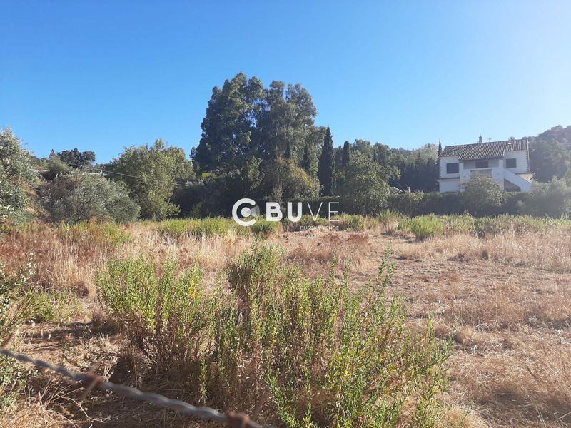 Parcela en venta Cazalla De La Sierra, Sevilla. Ref: 43567. BUVE.APP