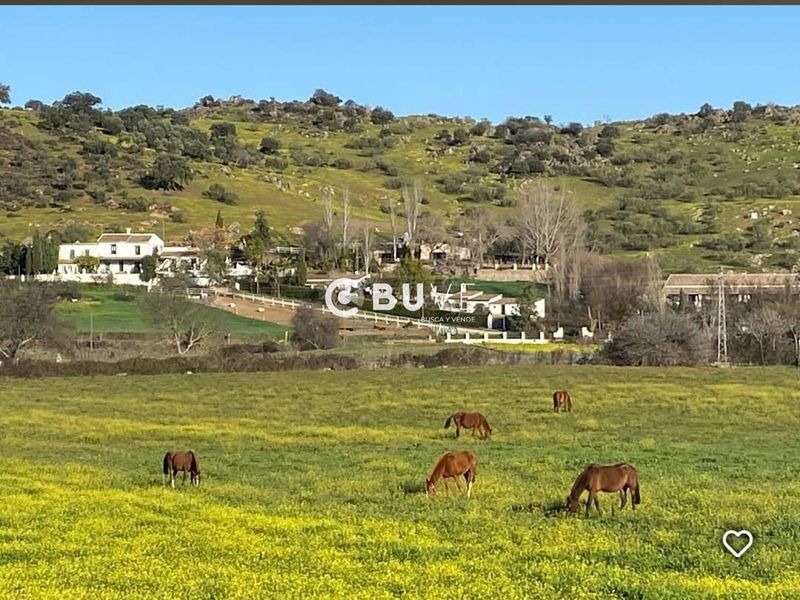 Parcela en venta Cazalla De La Sierra, Sevilla. Ref: 43567. BUVE.APP