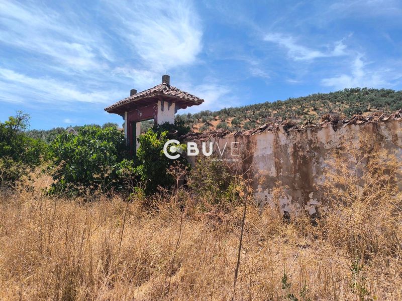 Terreny en venda Rute, Córdoba. Ref: 43863. BUVE.APP