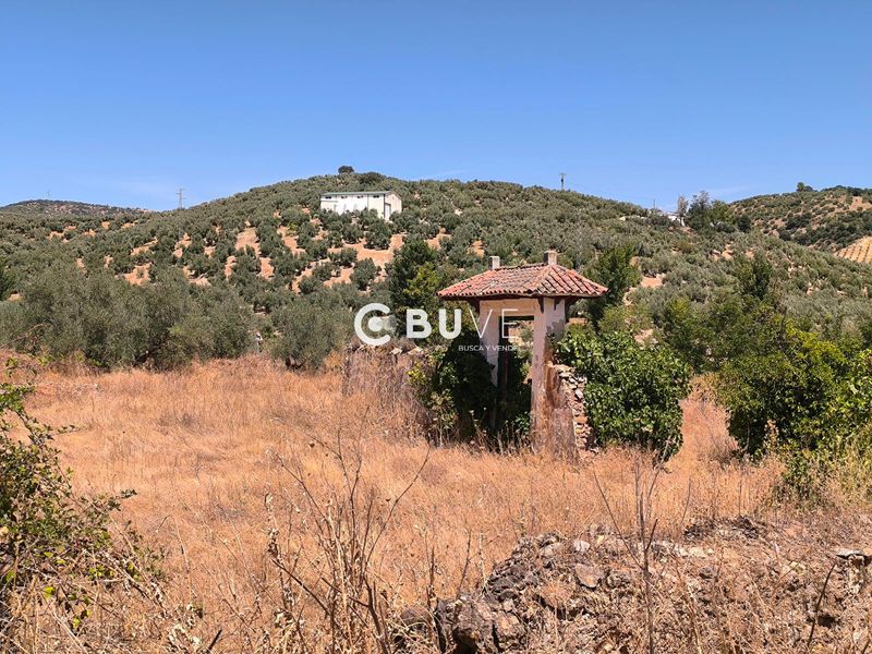 Parcela en venta Rute, Córdoba. Ref: 43863. BUVE.APP