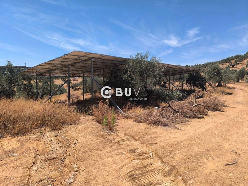 Plot for sale Rute, Córdoba. Ref: 43863. BUVE.APP