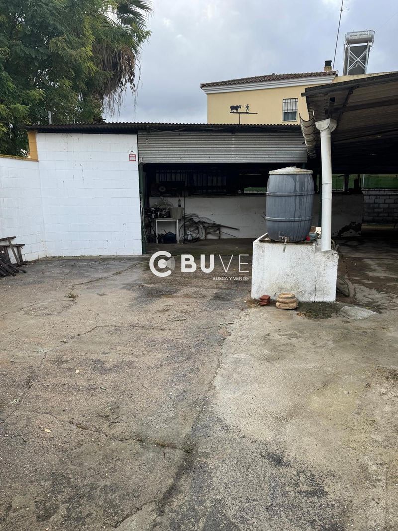 Parcela en venta Gelves, Sevilla. Ref: 44699. BUVE.APP