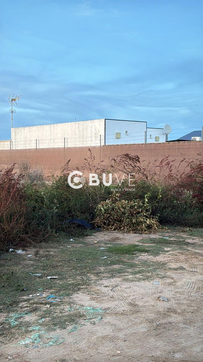 Parcela en venta Chipiona, Cádiz. Ref: 45068. BUVE.APP