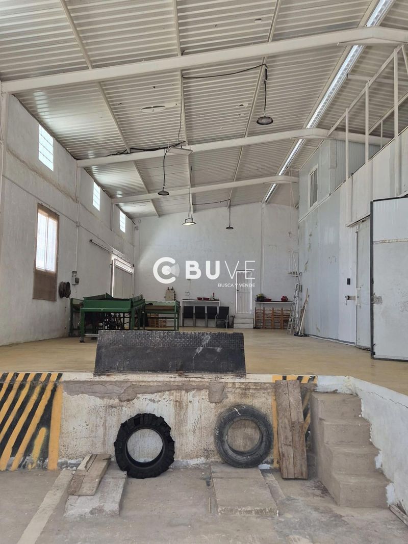 Industrial Warehouse for sale Orihuela, Alicante. Ref: 46750. BUVE.APP