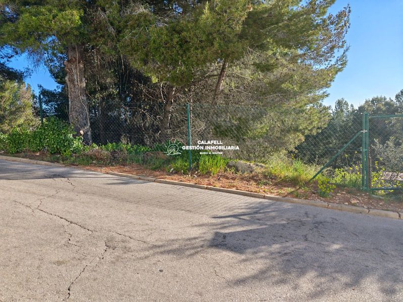 Bouwgrond te koop La Bisbal del Penedes, Tarragona. Ref: 1613. Calafell Gestión Inmobiliaria