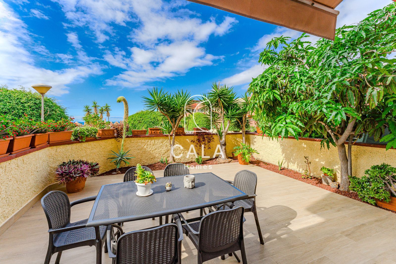Exclusive Apartment with Large Terrace in Costa Adeje
