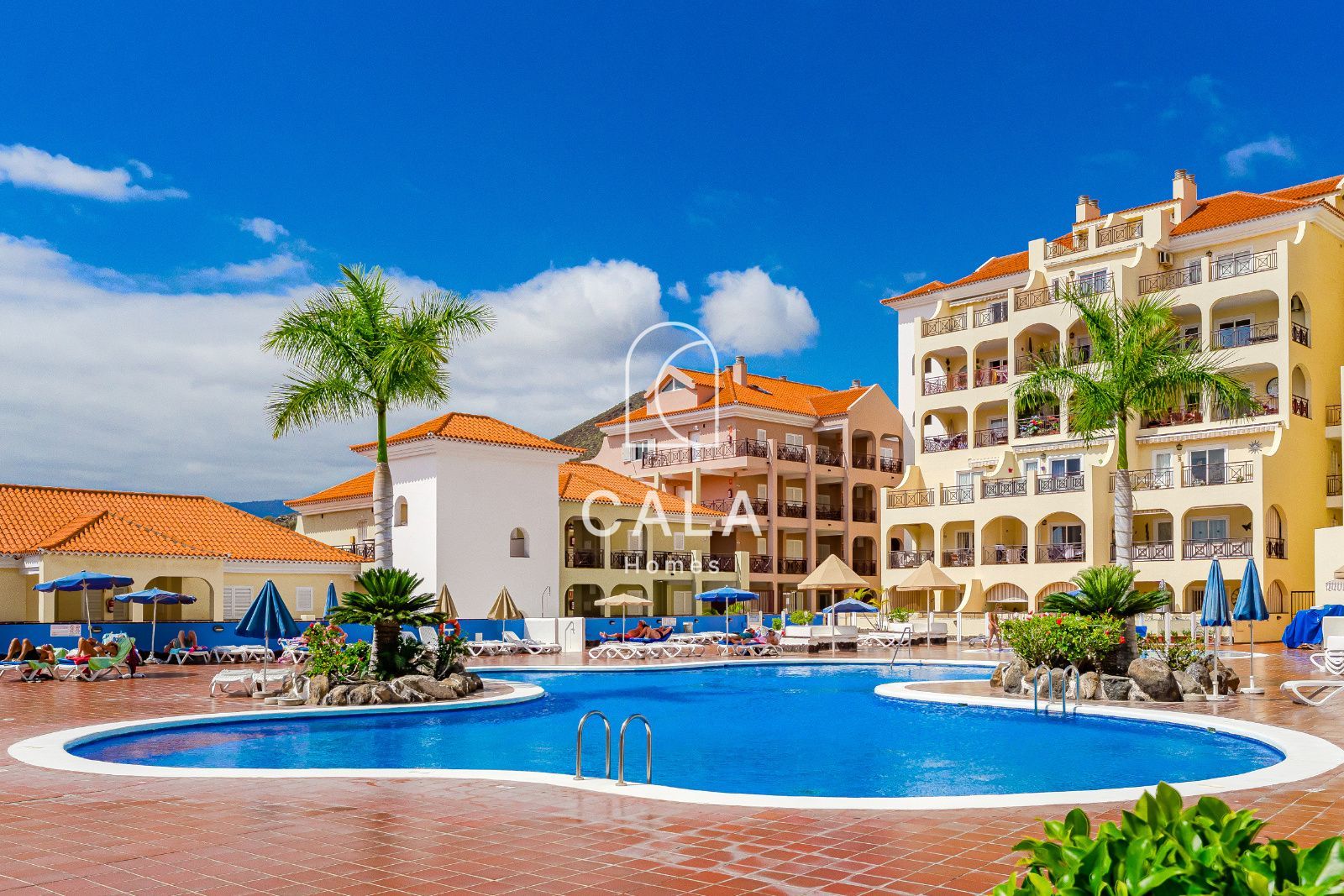 Oportunidad única en Los Cristianos!