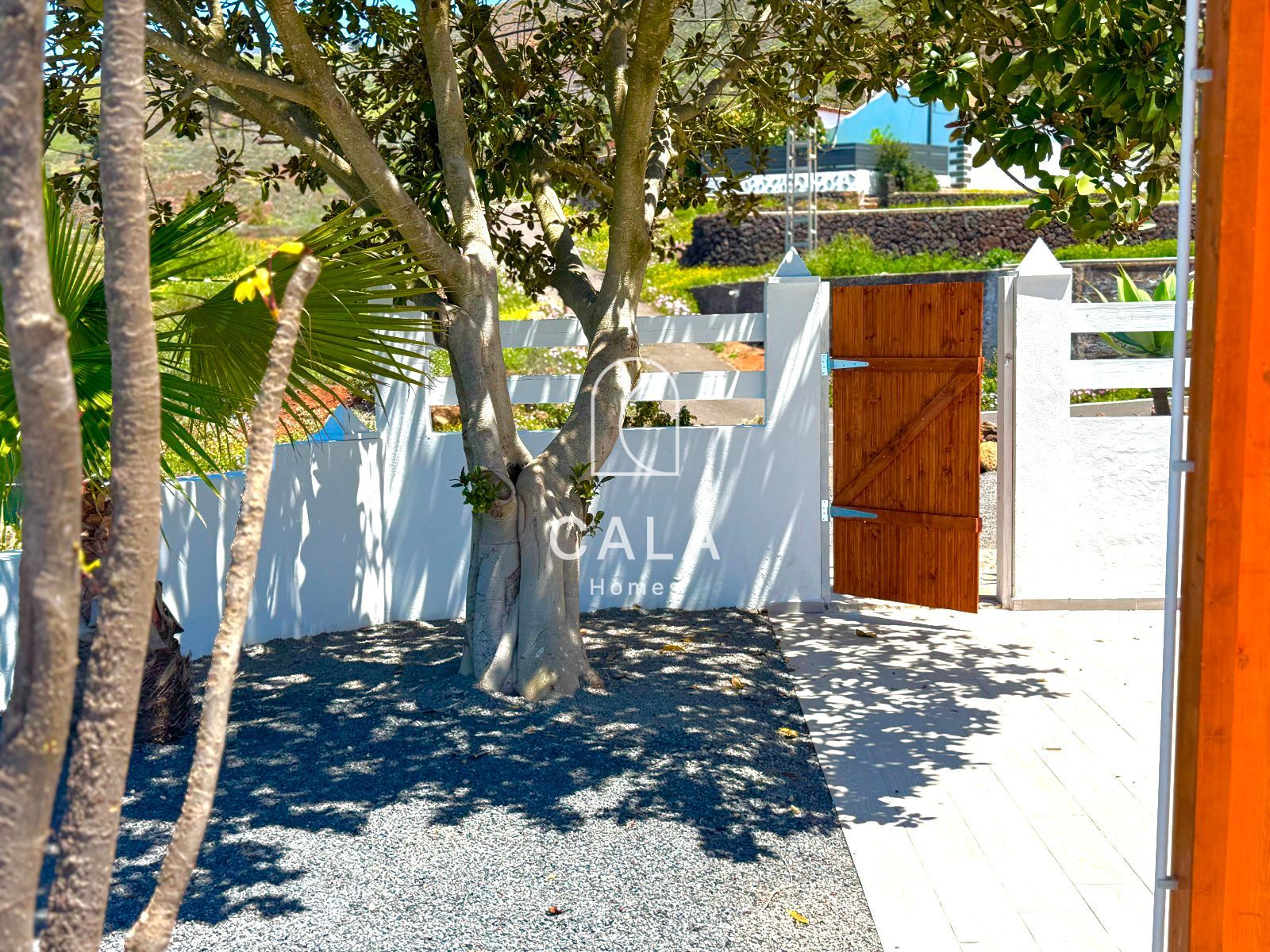 A Hidden Gem in the Hills of Ifonche