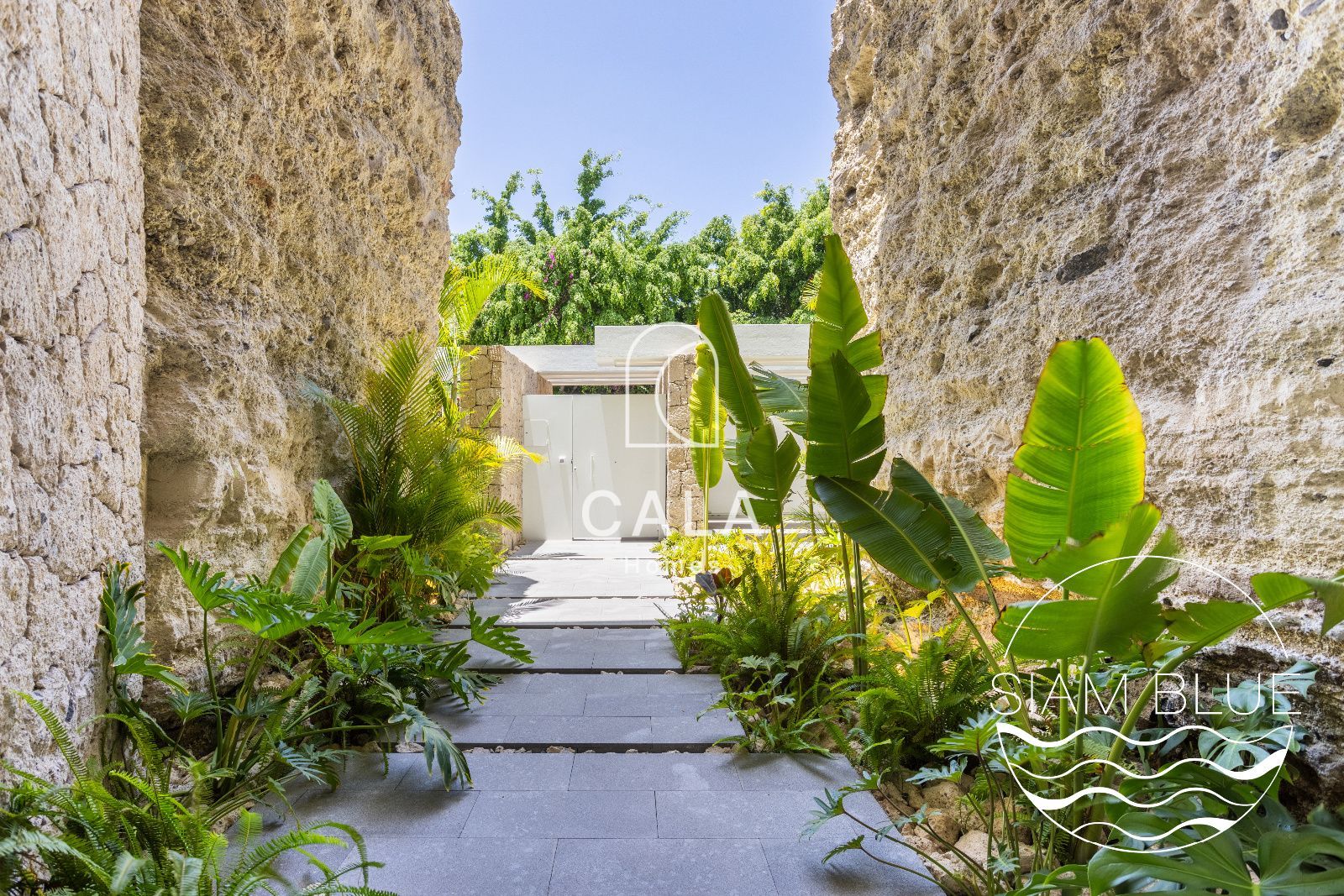 Luxury Villa with Panoramic Ocean Views – San Eugenio Alto