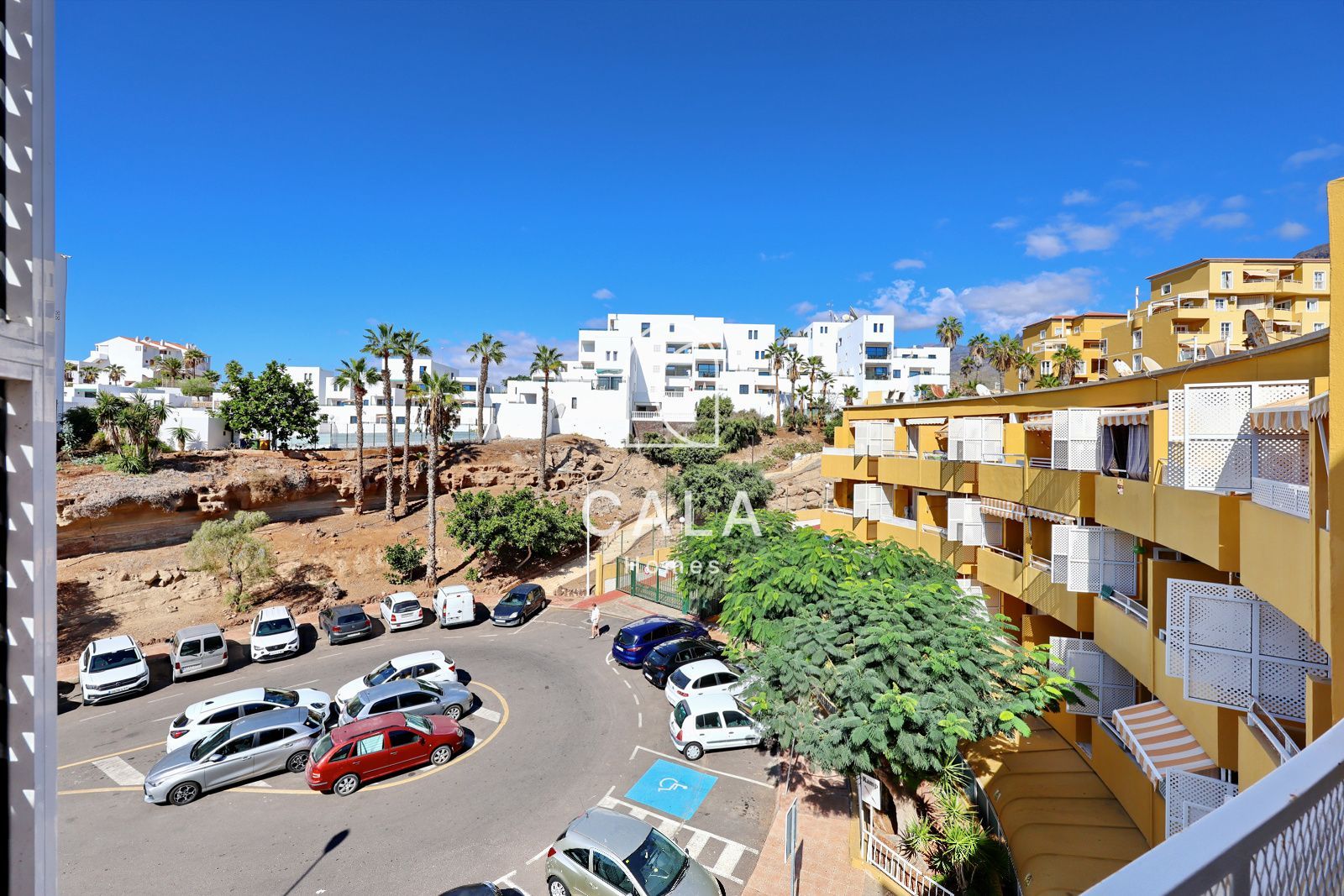 Apartment in the Orlando Complex