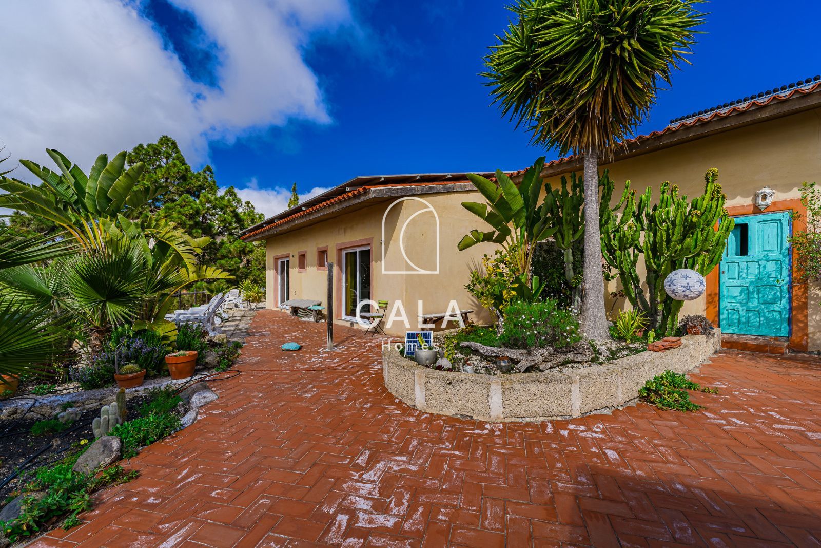 Finca El Refugio in La Escalona – Ifonche, with two houses, pure air, silence and nature