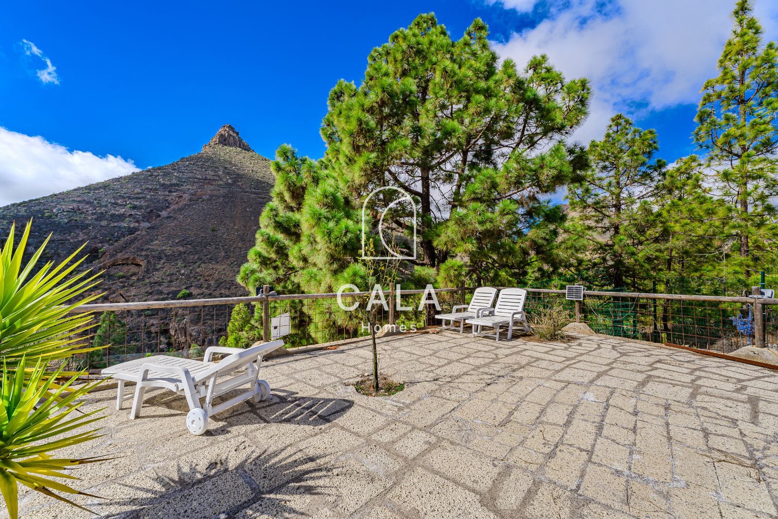 Finca El Refugio in La Escalona – Ifonche, with two houses, pure air, silence and nature