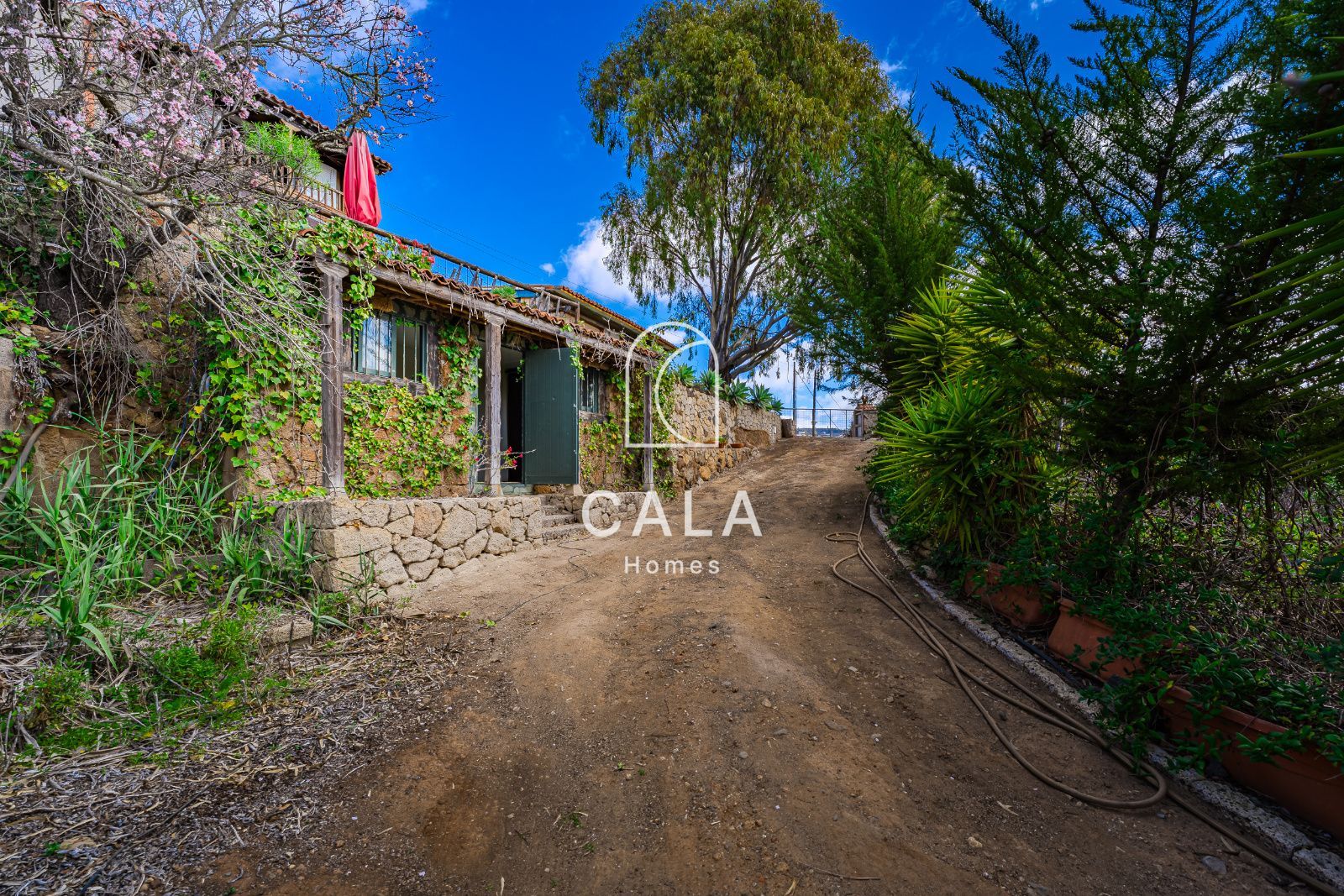 Finca El Refugio in La Escalona – Ifonche, with two houses, pure air, silence and nature