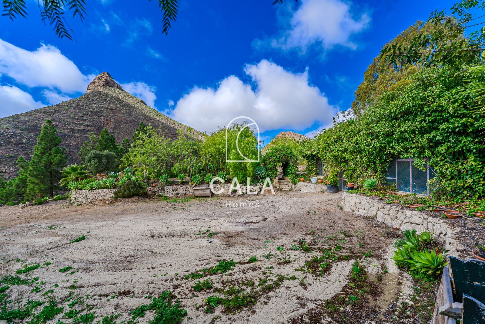 Finca El Refugio in La Escalona – Ifonche, with two houses, pure air, silence and nature