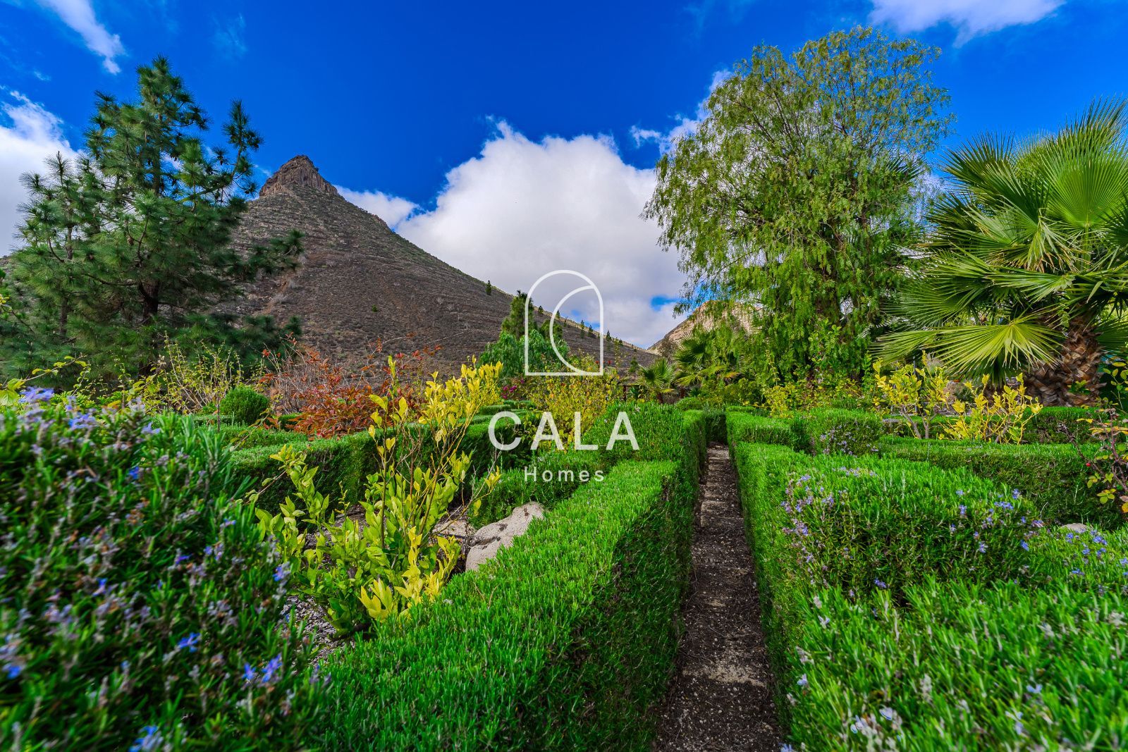 Finca El Refugio in La Escalona – Ifonche, with two houses, pure air, silence and nature