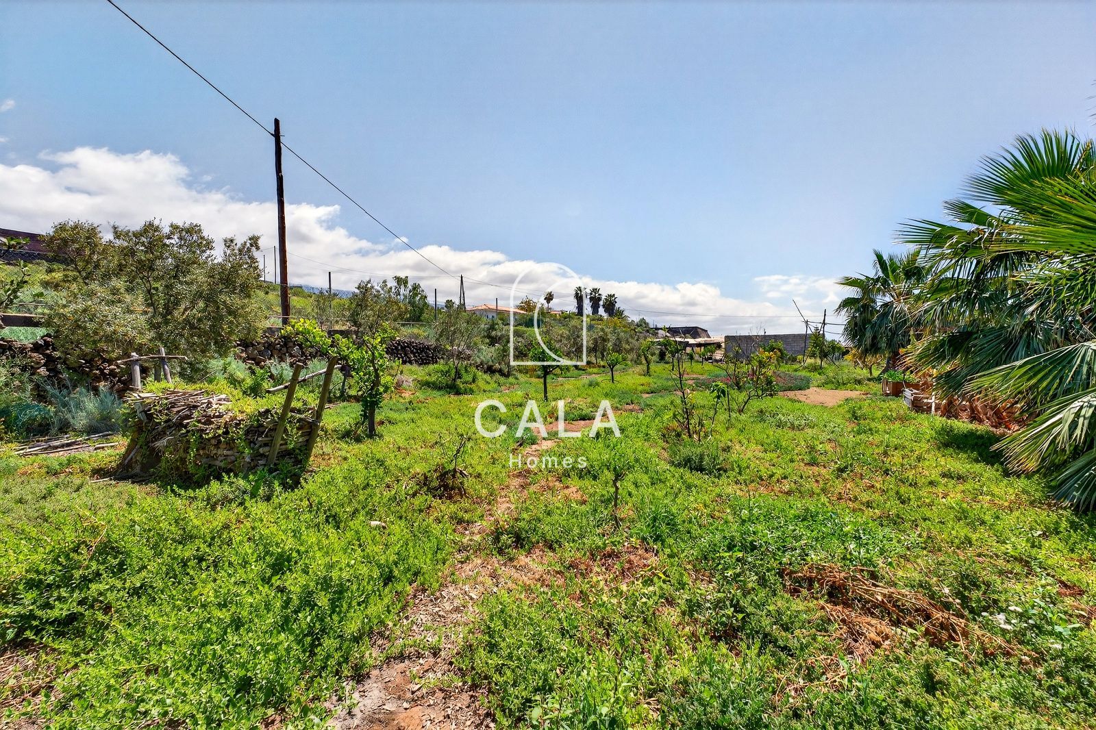 Beautiful estate with panoramic sea views