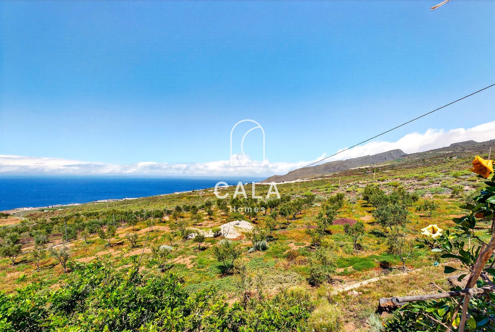 Beautiful estate with panoramic sea views