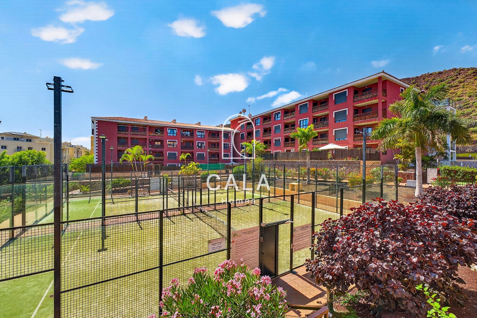 Palm-Mar: Spacious Ground Floor Apartment with Large Terrace