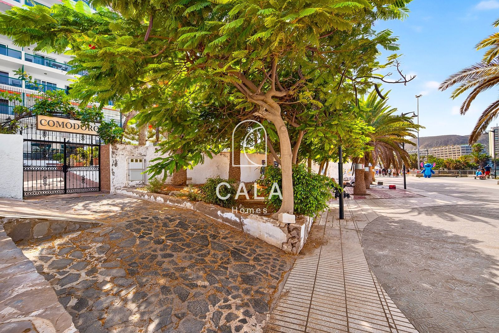 Comodoro apartment - Los Cristianos