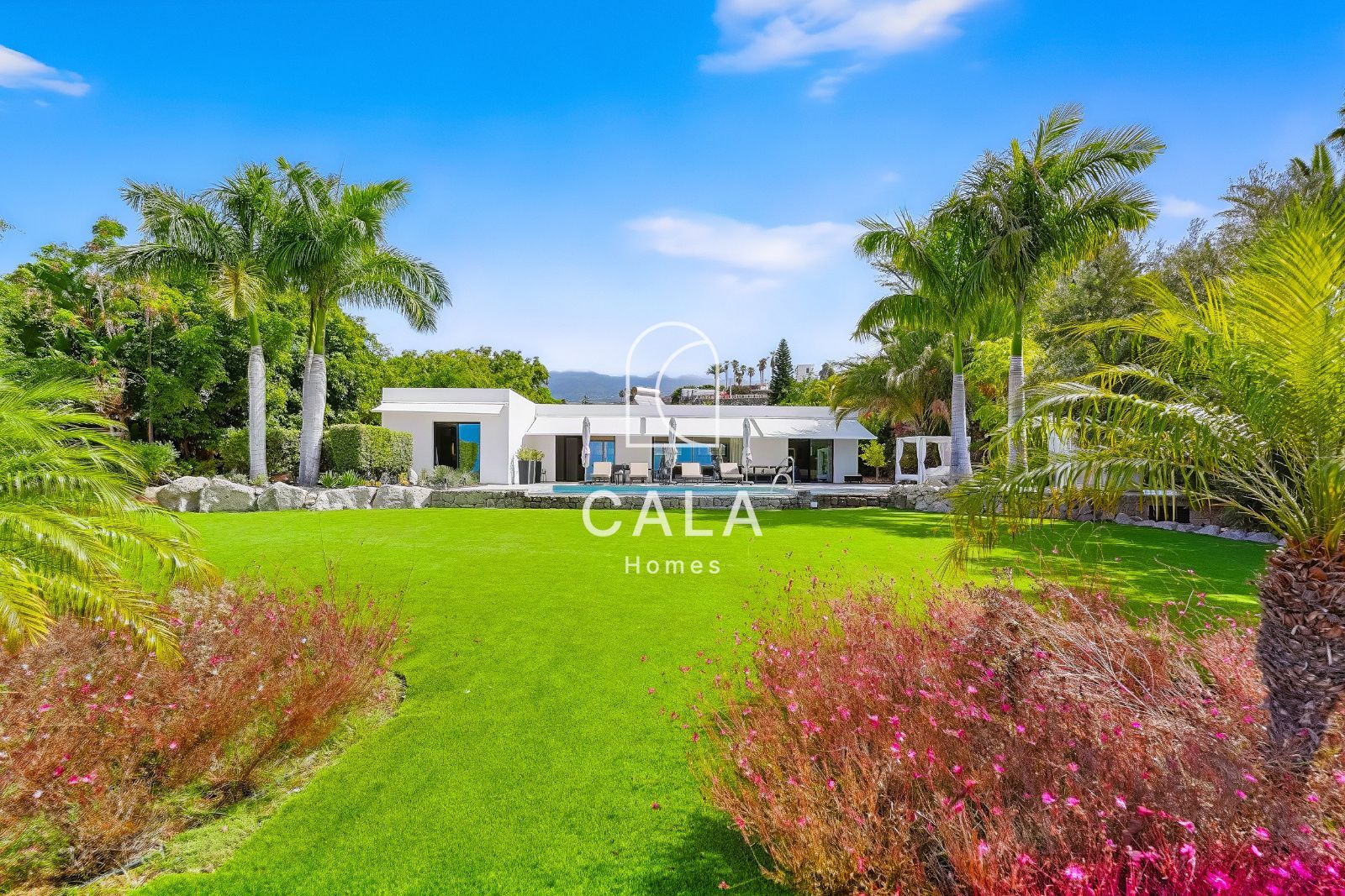 Villa Dream - Ricasa