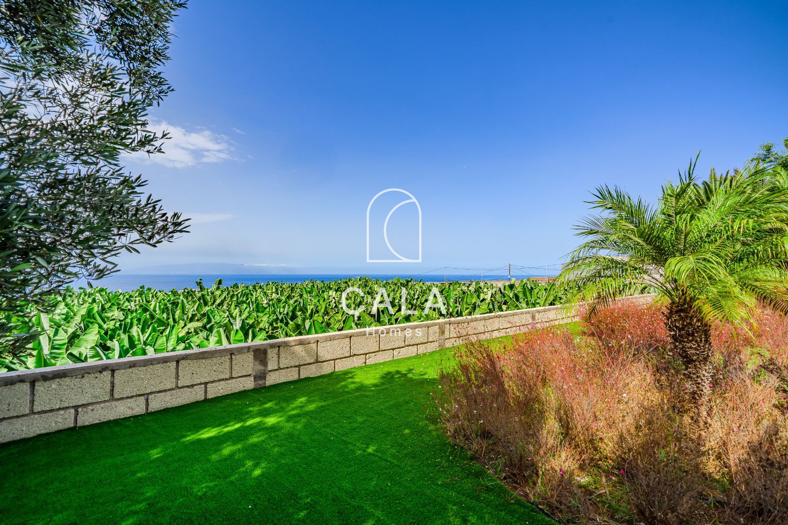 Villa Dream - Ricasa