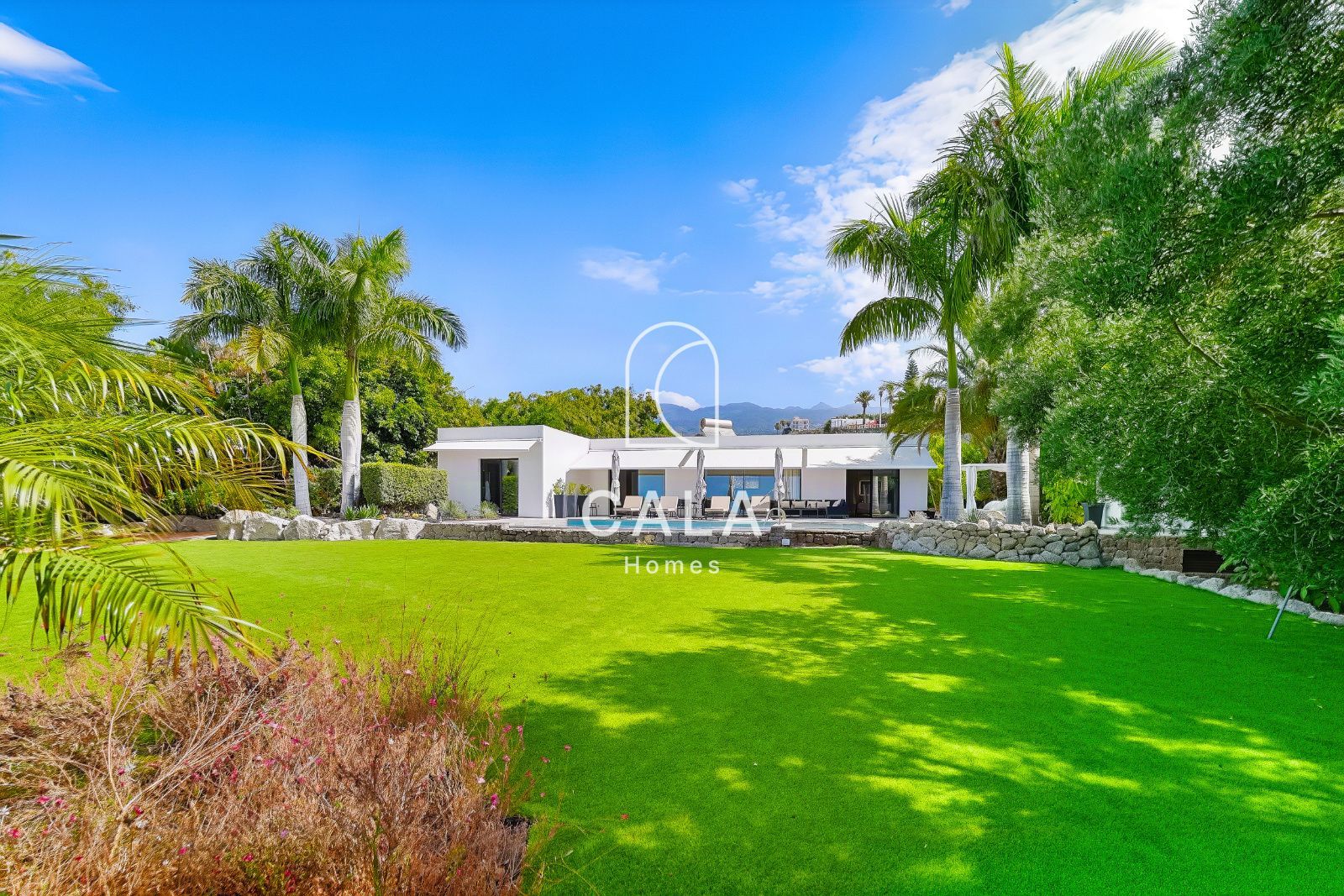 Villa Dream - Ricasa