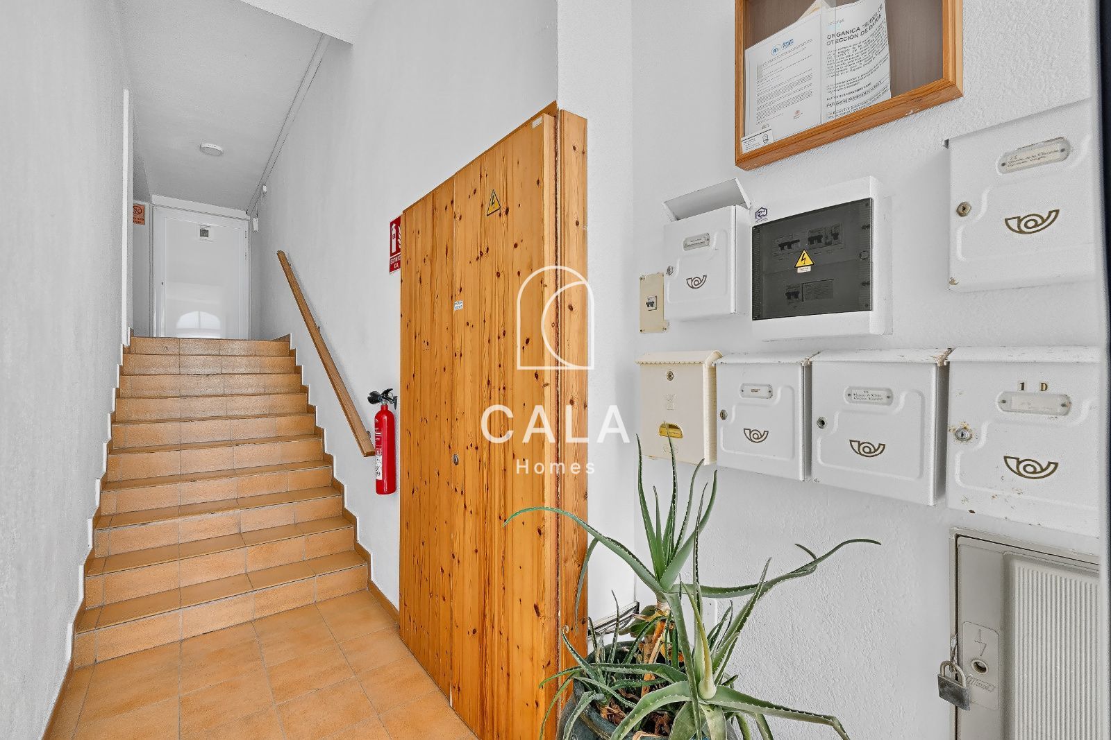 Penthouse Sunrise - Alcala