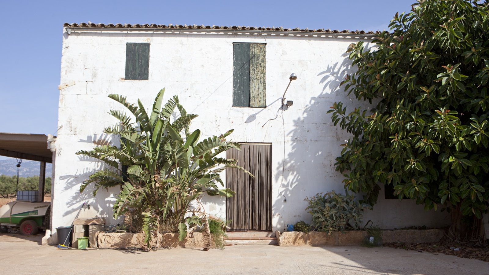 Finca con olivar en Sa Pobla de 114.000 m2, posible construir 2 casas