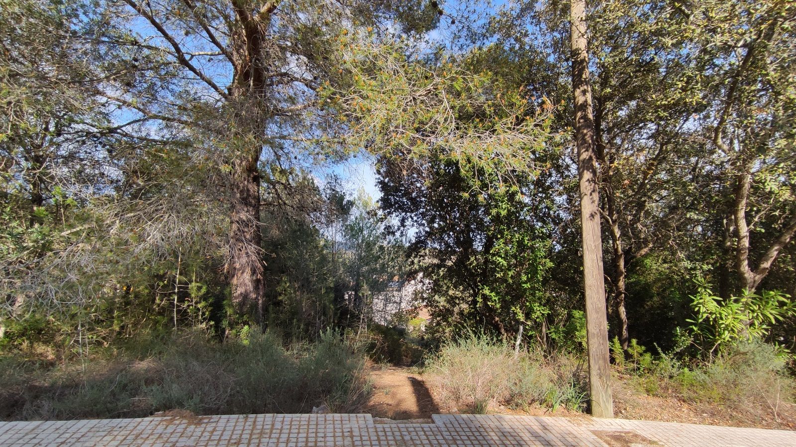 Parcela de 983 m2 en Campanet con vistas