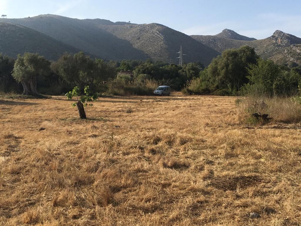 Terreno de 17.000 m2 en Capdepera con pozo y electricidad